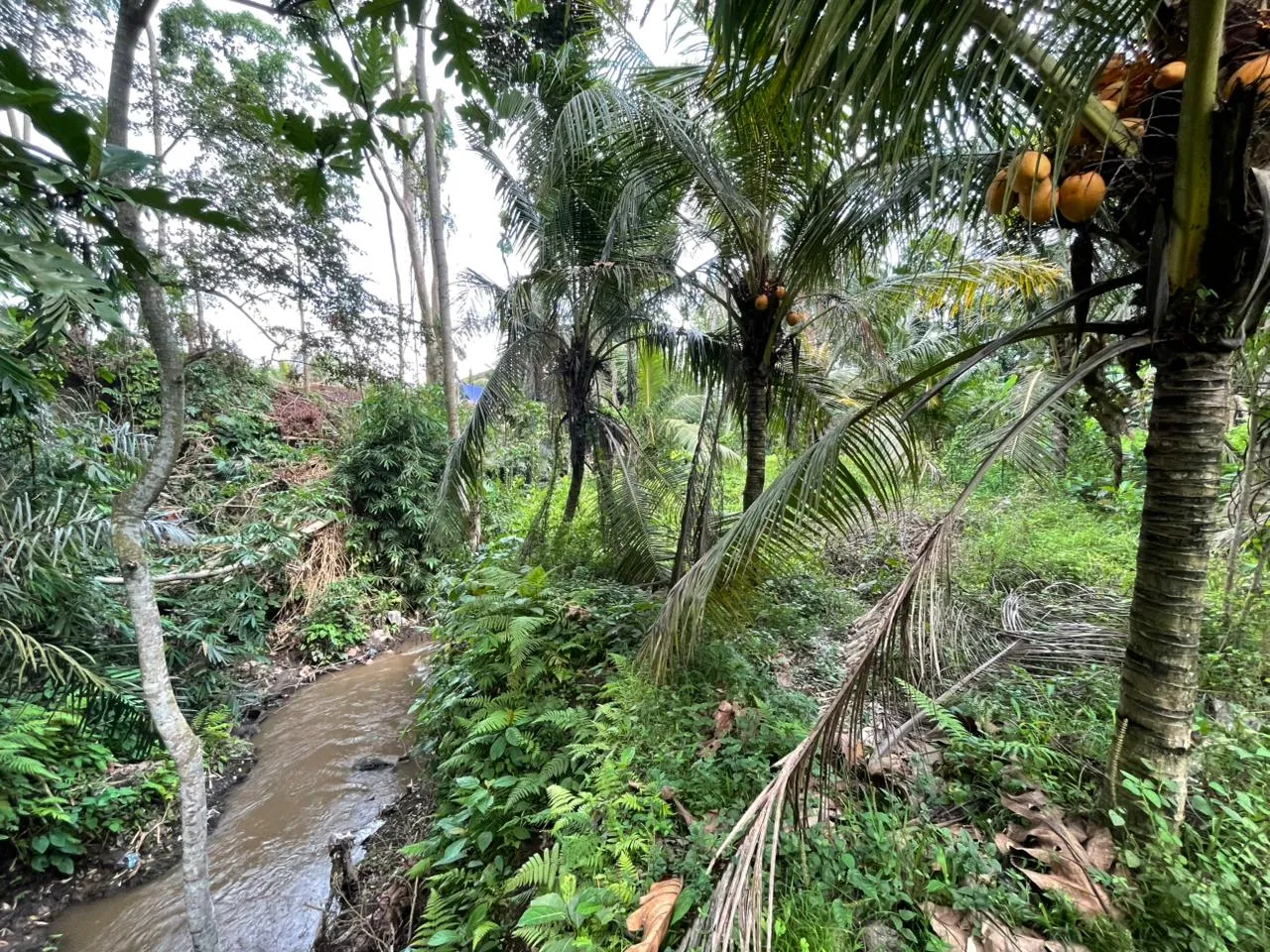 Riverfront Land for Sale in Singakerta, Ubud: 760 sqm with Yellow Zone